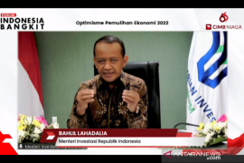 BPKM: Investasi tak lagi dimonopoli Pulau Jawa sejak triwulan III-2020