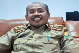 Sultra dorong petani kembangkan kemiri Sunan
