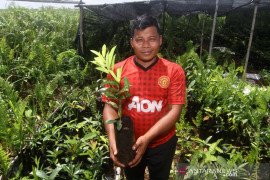 Ministry to rehabilitate Kalimantan's watersheds