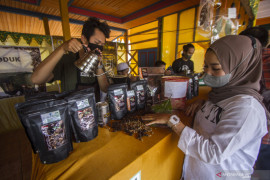 Wilayah Meratus menjadi pusat pengembangan Kopi di Kalsel