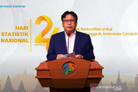 BPS: DIY mencapai IPA dan IPHA tertinggi secara nasional