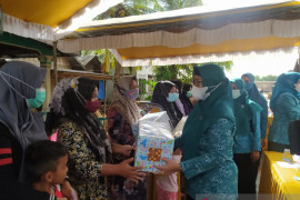 Lomba kudapan berbahan dasar ikan meriahkan Manunggal Tuntung Pandang Desa Swarangan