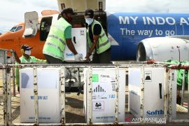 Antibodi vaksin COVID-19 Pfizer mungkin bisa berkurang setelah 7 bulan