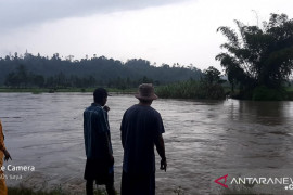 Warga hanyut di Batang Momong Dharmasraya ditemukan tewas