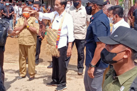 Presiden minta Papua Barat tingkatkan produktivitas pertanian