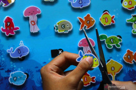 Kemarin, memilih mainan untuk balita sampai Miss Universe baru