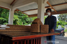 Mahasiswa Unimal manfaatkan sabut jadi produk bernilai ekonomis