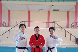 Mahasiswa UIN Palu raih emas pada Kejurnas Kickboxing Musical Form
