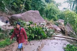 Apdesi Majene : Pembangunan rumah untuk korban gempa tidak boleh merusak hutan