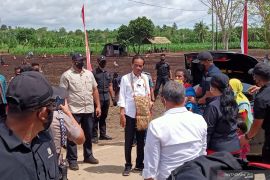 Presiden dorong petani muda Papua Barat ditingkatkan kualitasnya