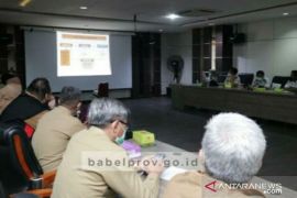 Gubernur Erzaldi: Babel siap impor sapi dari Australia