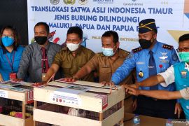 Polda Sumsel ungkap kasus penyelundupan satwa dilindungi senilai Rp1,3 miliar