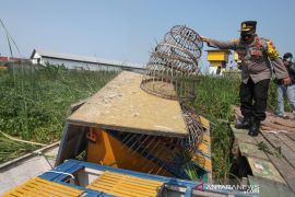 Polsek Tambaksari gerebek lokasi perjudian burung dara