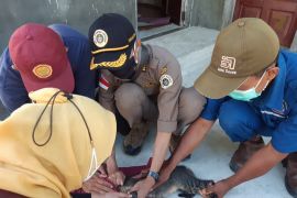 Karantina Pertanian Tarakan Dukung Pembebasan Rabies di Derawan