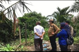 BBKSDA Sumut akan trans lokasi monyet liar di Tebing Tinggi