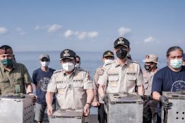 Puluhan monyet ekor panjang dan ular piton dilepasliarkan di Pulau Nusa Barong Jember