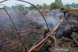 Titik Panas Sumatera Meningkat