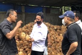 Calon investor berkeliling ke Inhil, apa yang dicari?