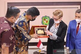 Dubes Polandia jajaki kerja sama penataan lampu taman dengan Pemkot Medan