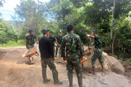 Dansatgas berharap program TMMD di Solok wujudkan ketahanan pangan