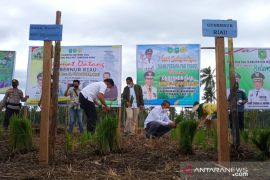 Gubri sebut sawah di Meranti perlu normalisasi irigasi