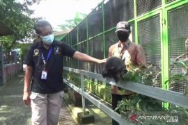 Empat tempat wisata di Madiun terapkan aplikasi PeduliLindungi