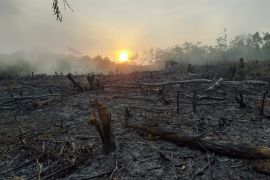 BPBD OKU tetapkan status siaga Karhutla