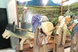 Hari museum nasional, Museum Siginjei pamerkan alat angkut dan trasportasi tradisional Jambi