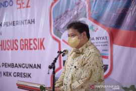 Airlangga Hartarto sebut KEK Gresik tingkatkan nilai tambah tembaga