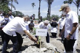 Bupati Asahan gelar gebyar tanam pisang barangan merah