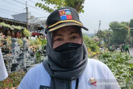 Pemkot Bogor inventaris pohon-pohon rawan patah dan tumbang