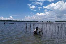 BRGM, Unmul provide training on eco-friendly aquaculture
