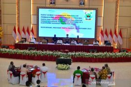 Wapres Ma'ruf Amin berharap manfaat percepatan pembangunan dinikmati OAP