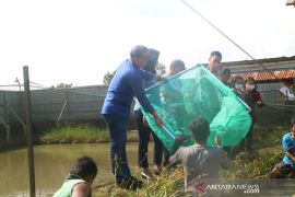 Kapuas Hulu siap kembangkan potensi perikanan di BBI