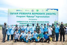 PIM gandeng TNI tanam jagung di lahan 100 hektare