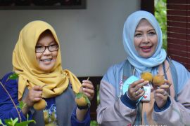 Pelestarian bekantan dikampanyekan di pergelaran mode internasional