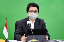 Indonesia mengusung tiga topik utama dalam DEWG G20 2022