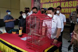 Polisi Sidoarjo tangkap pelaku perdagangan satwa dilindungi