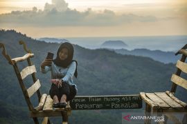 Wisata Alam Puncak Titian Musang