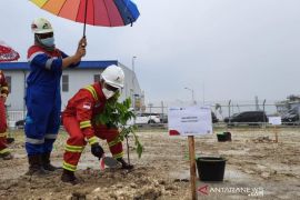 SKK Migas-KKKS  tanam 6,9 juta pohon untuk kurangi emisi karbon