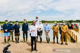 Jokowi Komponen Cadangan Tni Hanya Untuk Kepentingan Pertahanan Antara News Jambi<script async src=