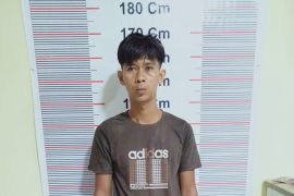 Polsek Secanggang amankan satu lagi pelaku penganiayaan Mubin
