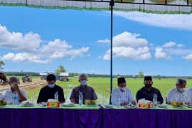 KSP serap aspirasi petani padi di Pasaman Barat