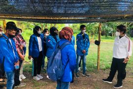 Mercy Barends apresiasi Latuhalat jadi desa inovasi mitigasi, gairahkan sukun kapas