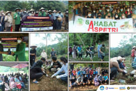 Universitas Pancasila budi daya kebun tanaman obat