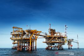 Petrosea bidik pendapatan capai 991 juta dolar AS di 2025