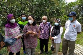 Tim "DOKAR" UB Malang kenalkan agroforestry kombinasi pada petani Kota Batu