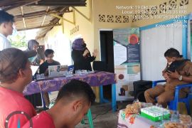 PKM Unand, Pengembangan Pakan Ternak Rumput Gajah (Pennisetum polystachion) di Kelompok Batu Kalang Indah Pesisir Selatan, Sumbar