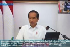 Jokowi Perintahkan Menteri PUPR Cek Jalan Trans Kei Besar