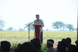 Puncak HPS - 41 di masa pandemi, momentum Kementan buktikan stok produksi pangan aman
